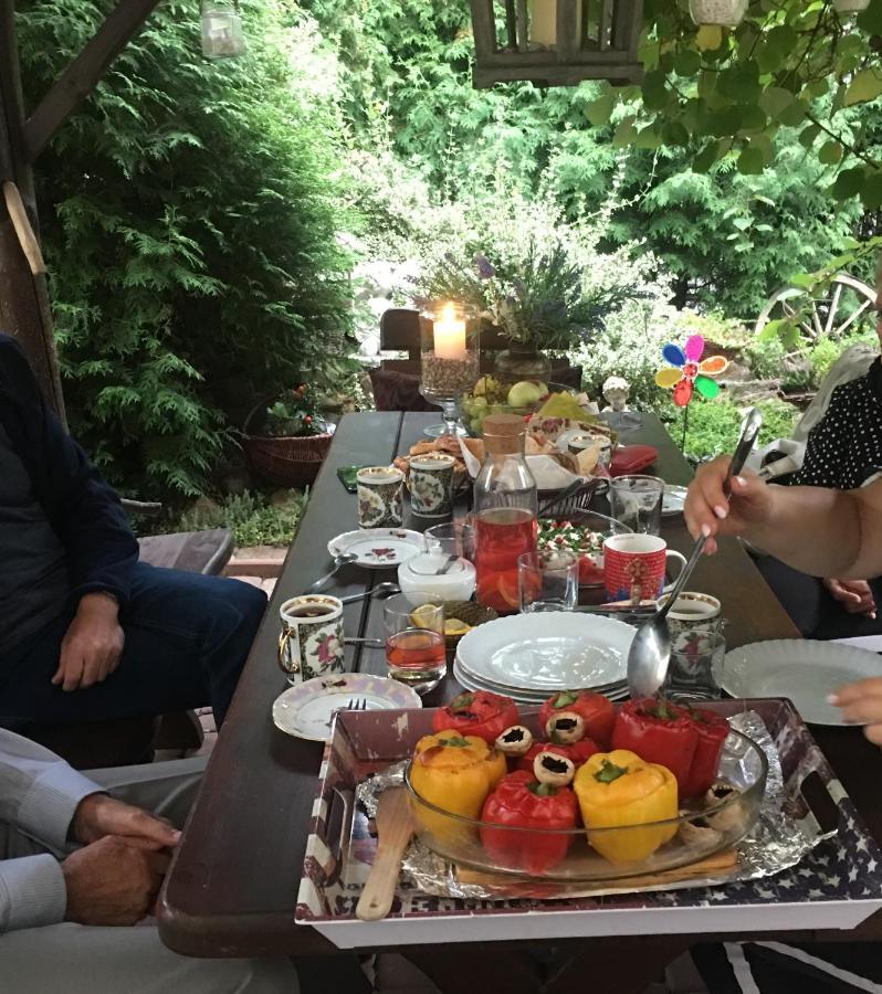 Cracow. Villa Cherubin Garden Krasków Εξωτερικό φωτογραφία